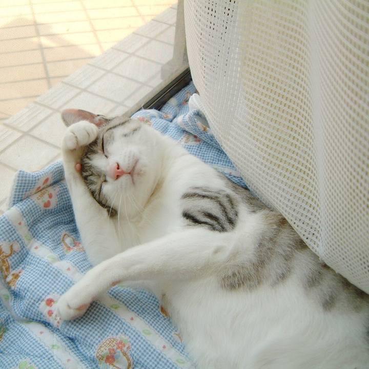 B0e6652c 5ae9 416c bd43 7860656693ec