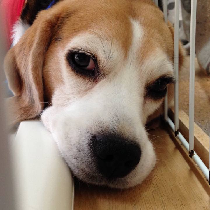 B0e6a4ea 5a63 4755 8887 10b46cc4d1fc