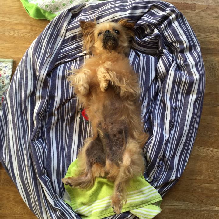 B0e73a76 c694 489f 855a 123c91c855cd