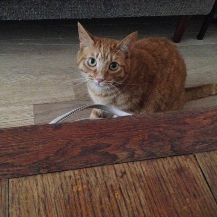 B0e76858 f63e 43ae 949d 34f5980a635e