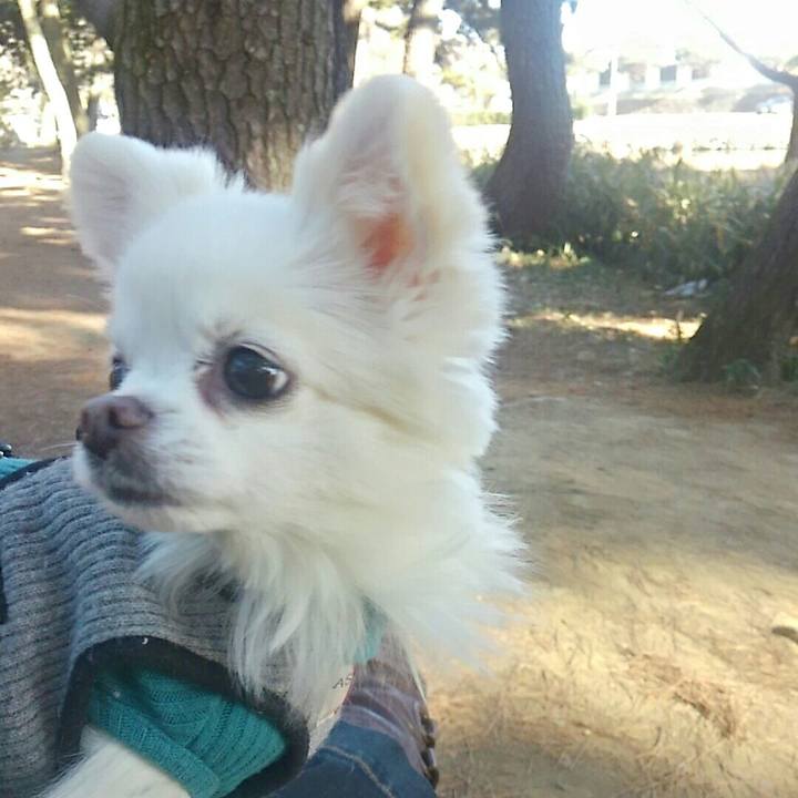 B0e79b1e 9aff 426c b69d ed0d4592f6ee