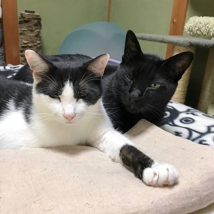 B0e7aa9b 414c 4f13 ab2c ed8d2d3a6a82