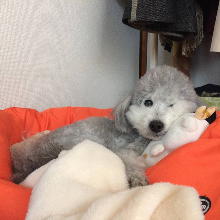 B0e7ad82 6b1a 4d6f be23 71165c1919f0