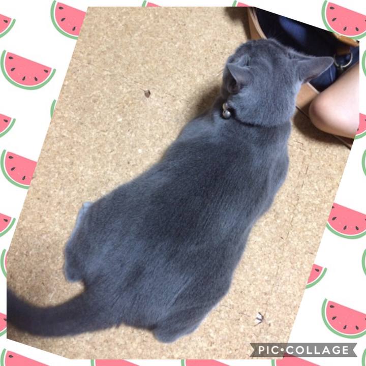 B0e7ae63 ee7c 423b a378 7427c80042de