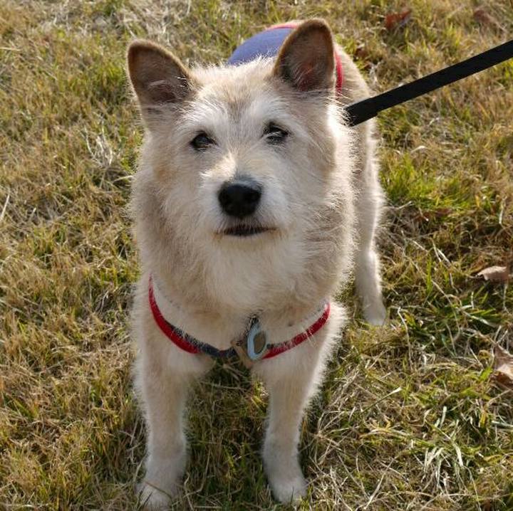 B0e89b8d 774c 4885 a6db b02a499b10ad