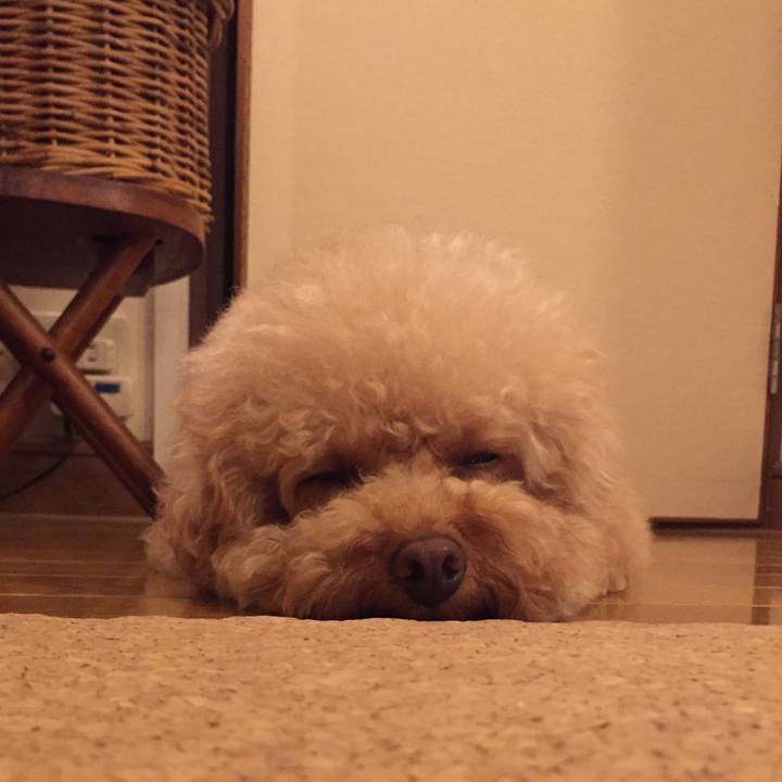 B0e8b5c7 f425 473c b4e2 7d9e1a781dac