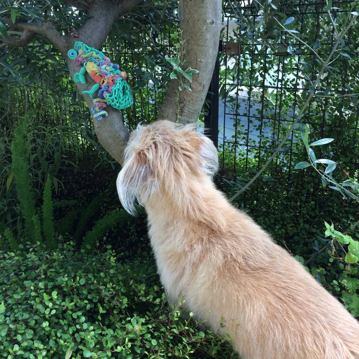 B0e9025c fd53 4d53 9a69 756db5552e4f