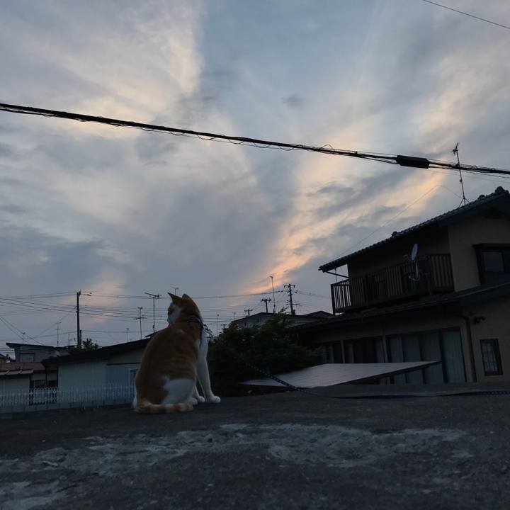 B0e96dda a10d 46d8 a988 429499952ab3