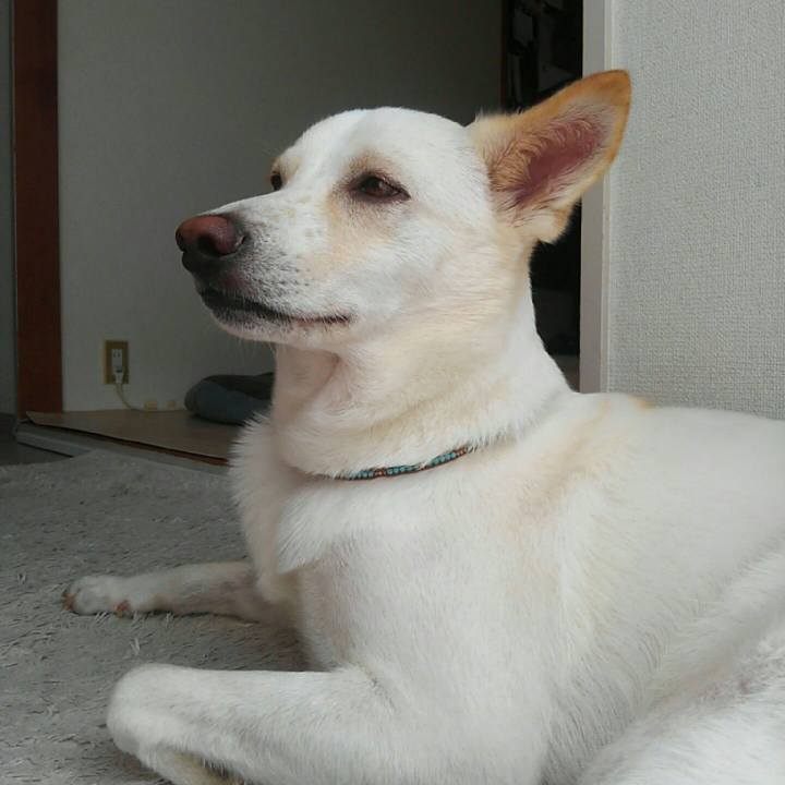 B0e977f3 652d 4271 bb8c 4daedb1dd819