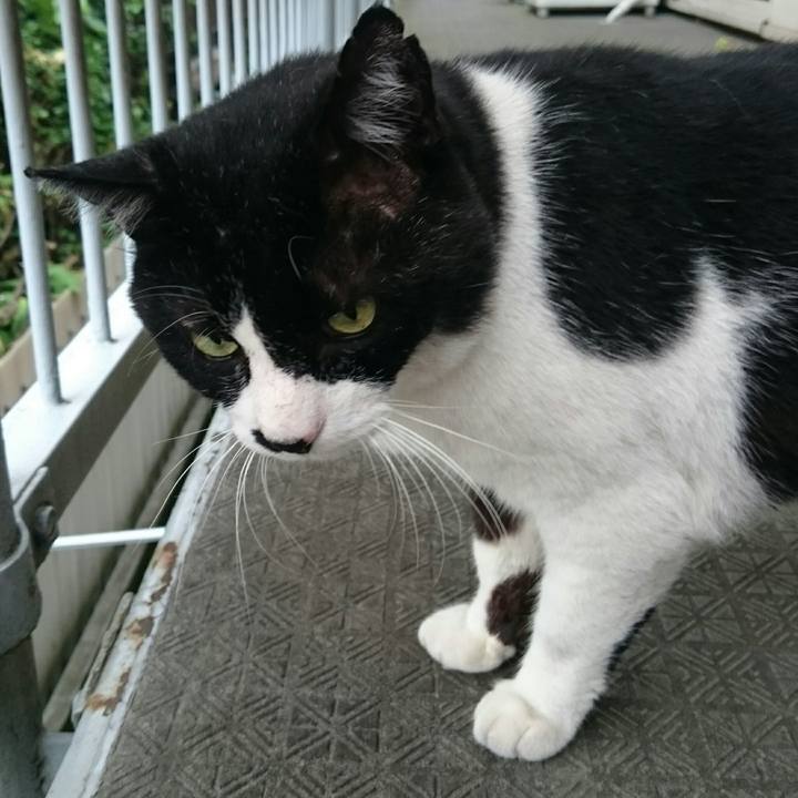 B0e9c4fb 2fdb 482f ab3a d9e51fbbe374