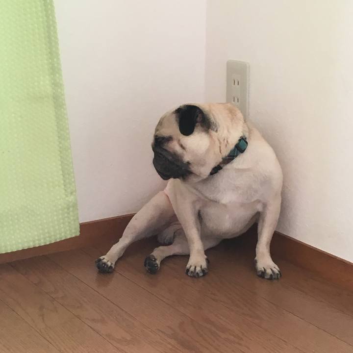 B0e9d0ed cdb7 45da b079 186698550bfe