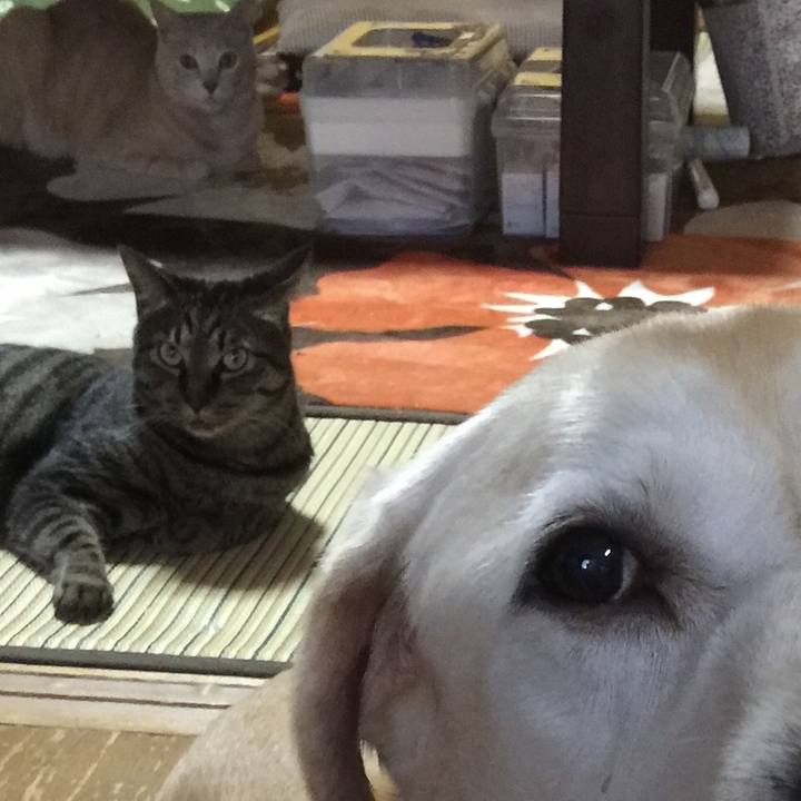 B0ea1295 4bdb 4fd3 987f 819cdeece43c