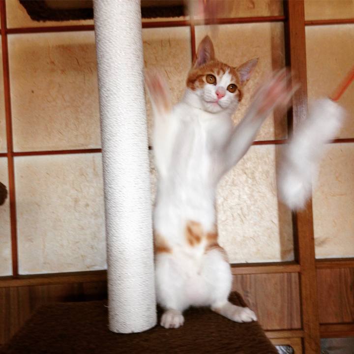 B0ea833c 4498 4049 98a8 82b1873f3a85