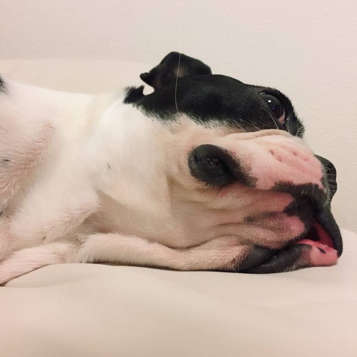 B0ead92a 2e81 4800 8247 40adf00d2118