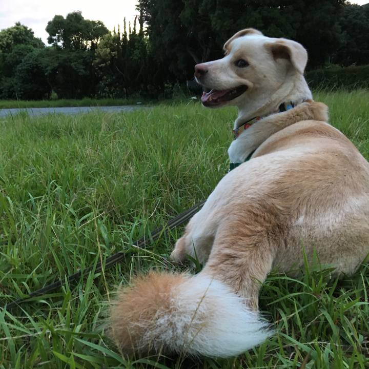 B0eaf747 fa4d 49f3 9e40 49a4c393a79a