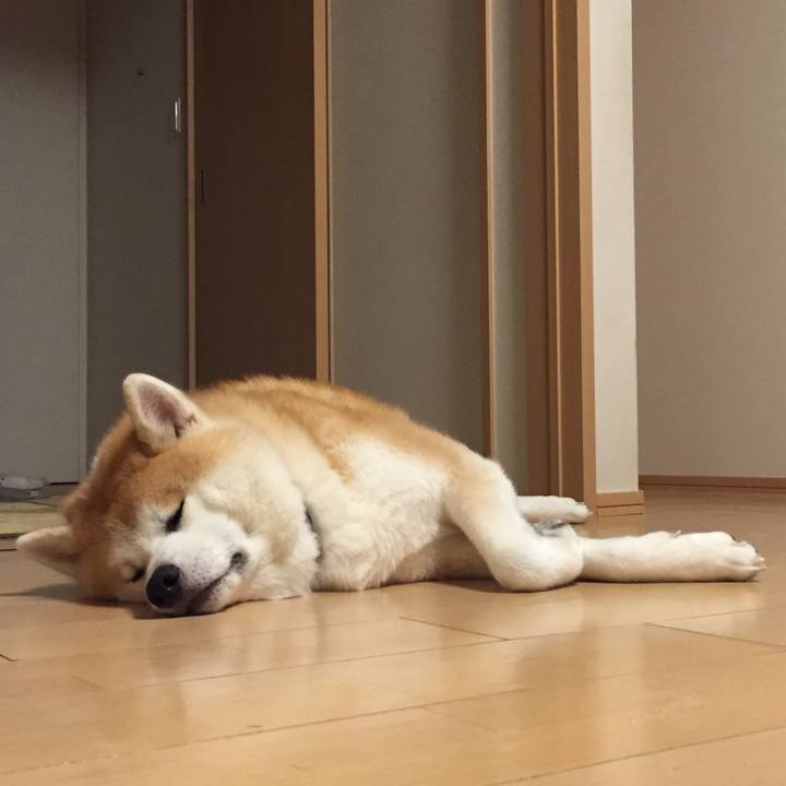 B0ec3693 a44e 4264 8791 b5f8ba18f3f9