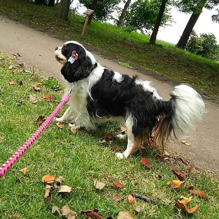 B0ec63f4 72ce 40de 96cd 83e2335b5d98