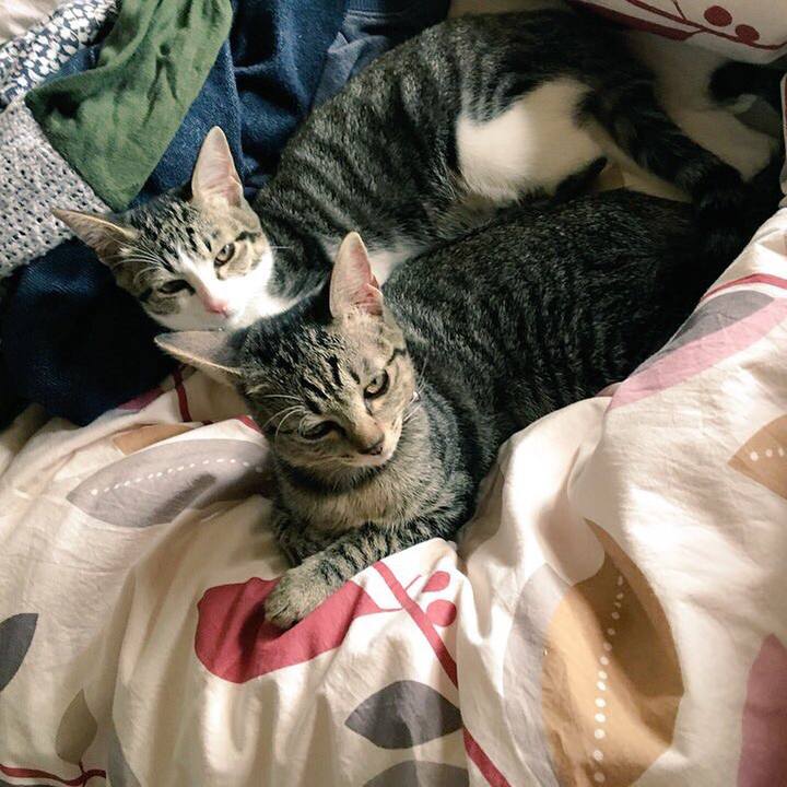 B0eca147 f2d4 4d28 934d 98e4175a2db6