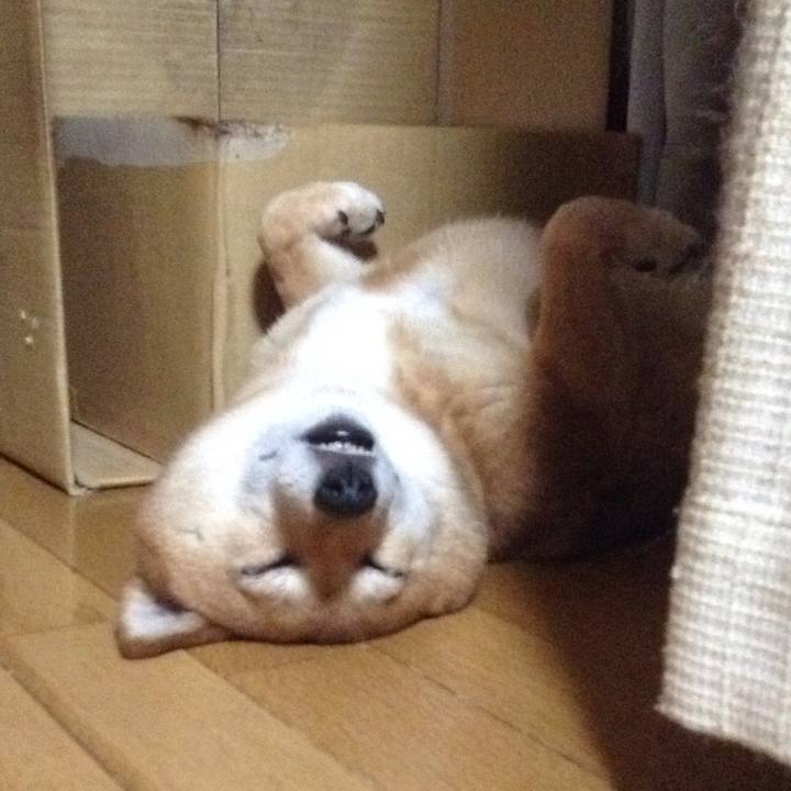 B0ece28a a29a 4b83 9c04 78bc816cf104