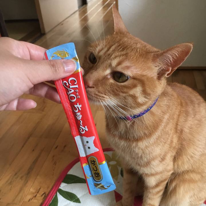 B0ed555f 7920 48d7 b46d 1a9d42ebe0c3