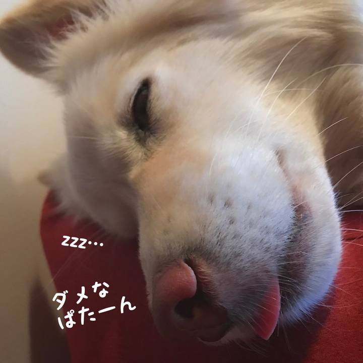 B0ede1e2 17af 4e6b 9d3d 70b18b00eace