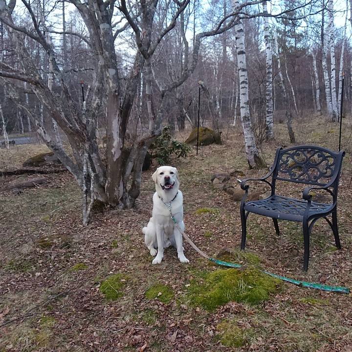 B0eef699 e01e 41e2 9fbf 784122accd31