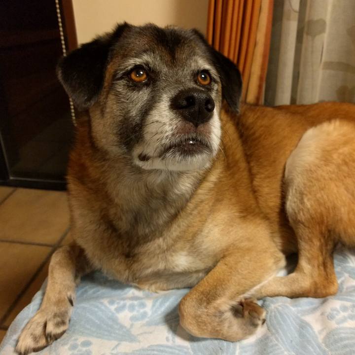 B0ef1221 27a8 4ab2 b010 23a78b3d6329