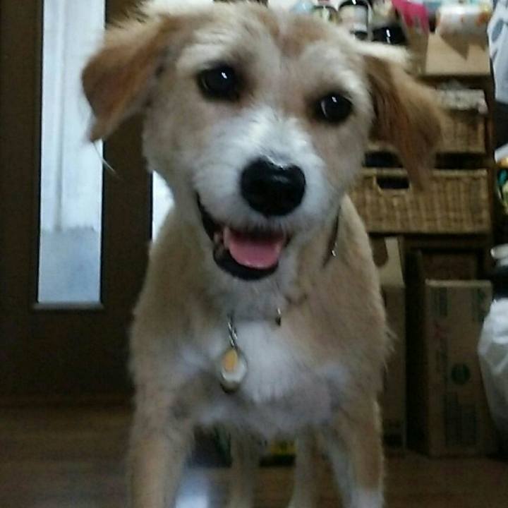 B0ef9edc fd9d 404f a628 185415fba615