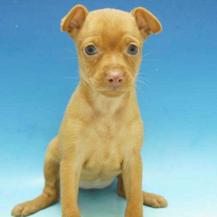 B0eff8ff 6fd9 4a90 b431 ac2f4725a851