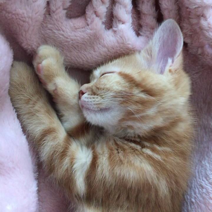 B0f012f0 c7bf 470f aa96 05f1d9178360