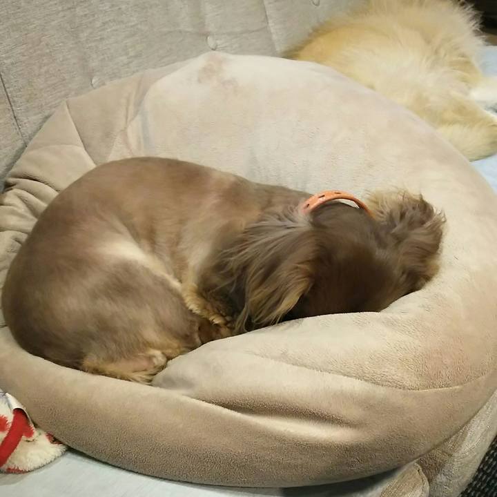 B0f01336 4d35 44ad a392 2b8d62b76975