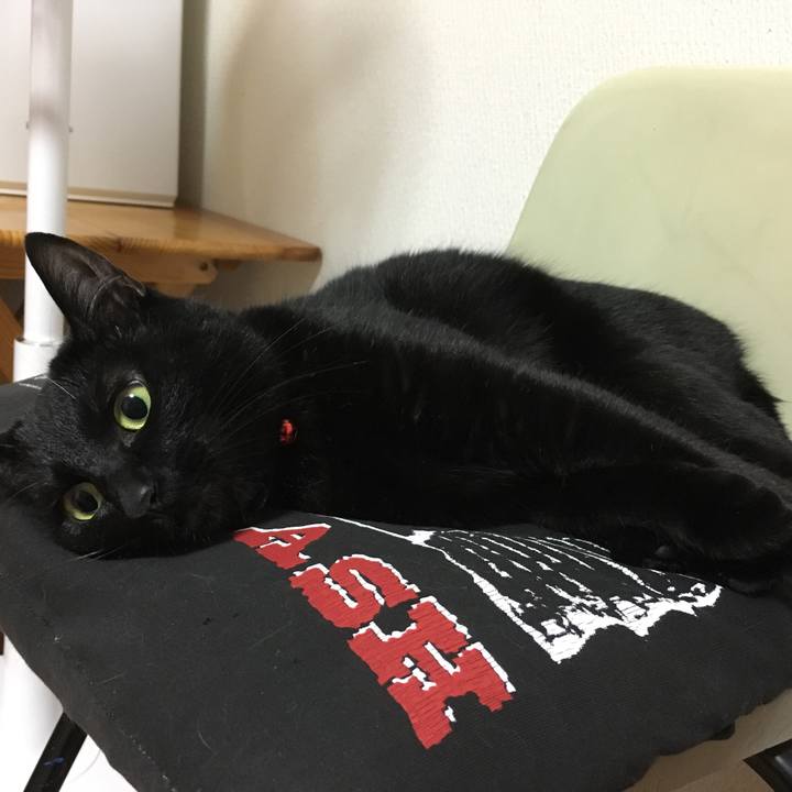 B0f071f3 60a1 455b ba6b def5d5ccd7d2