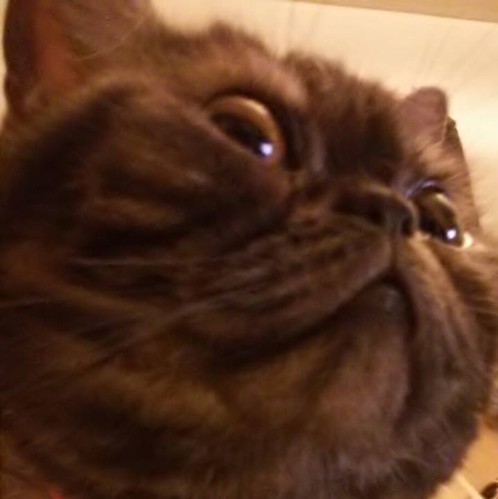 B0f0d09c 5156 4e7c bf6b 6d6bb88846f6