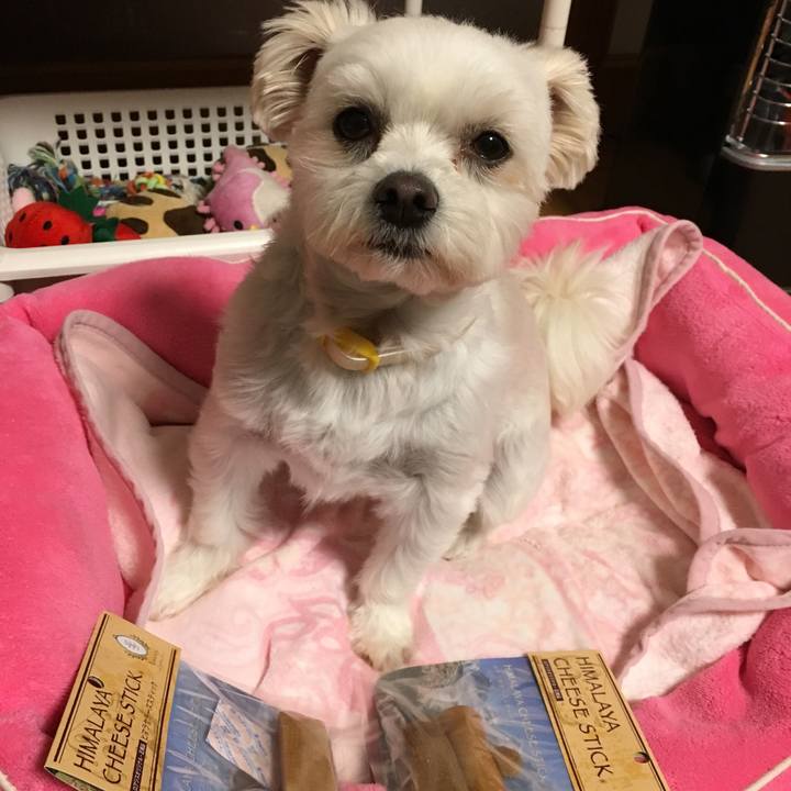 B0f0e1d2 8cfd 4327 89a4 88ee281ece2f