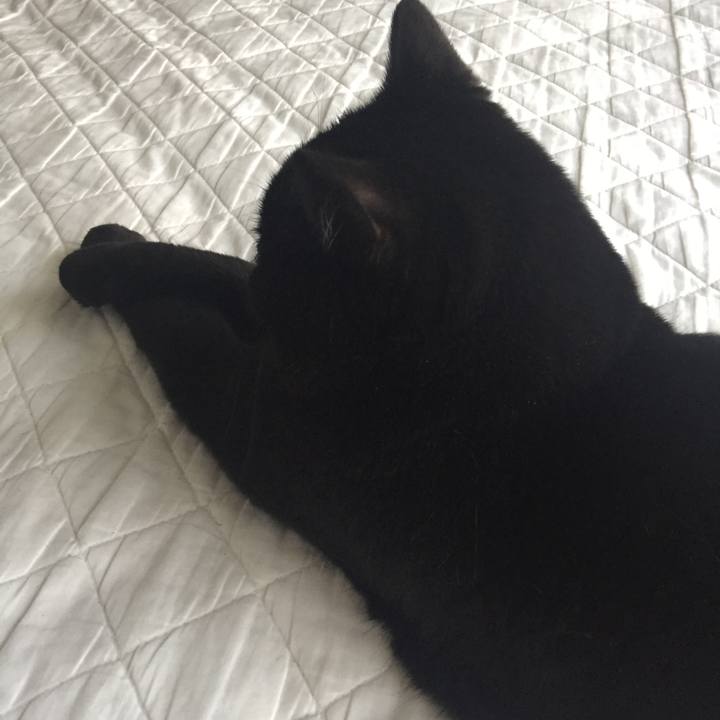 B0f10d6f 8449 4774 8751 18e38255e5e1