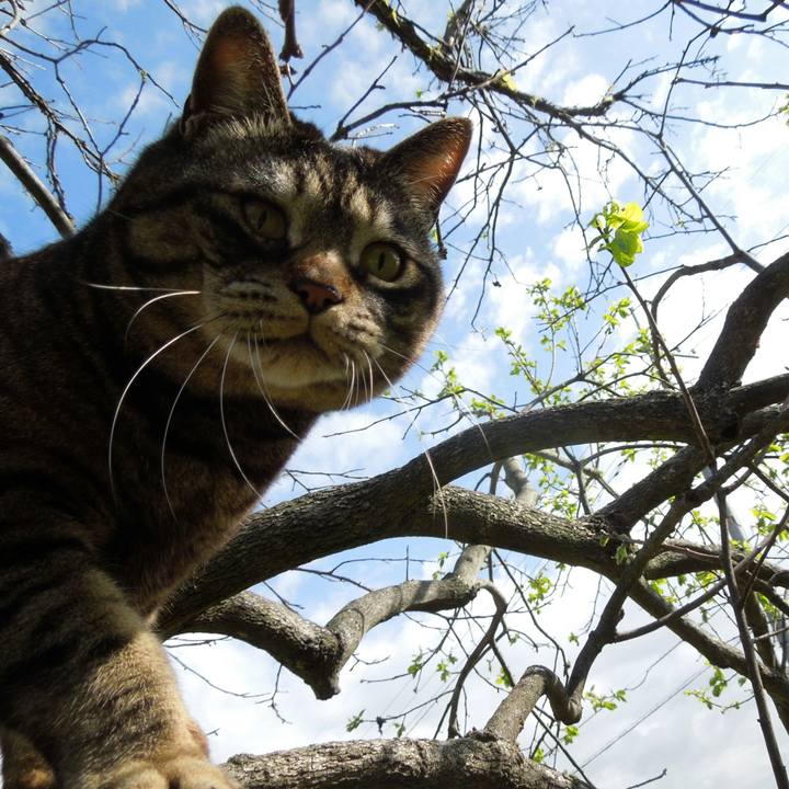 B0f139a3 731a 4011 8944 ac68c1a75211