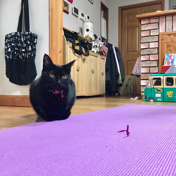 B0f14fe8 498e 4c0a af38 7e1d5c5ae4ef