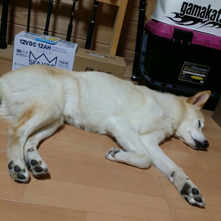 B0f1af76 3cdc 4cf6 83ec 222d67d0ce6f