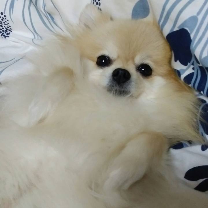 B0f1b994 791c 4431 9ee8 2669c3926ecb