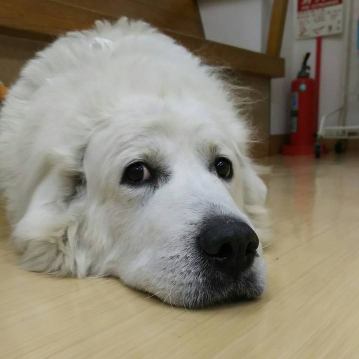 B0f2be1e 1a80 4285 8d84 55a6c910bb09