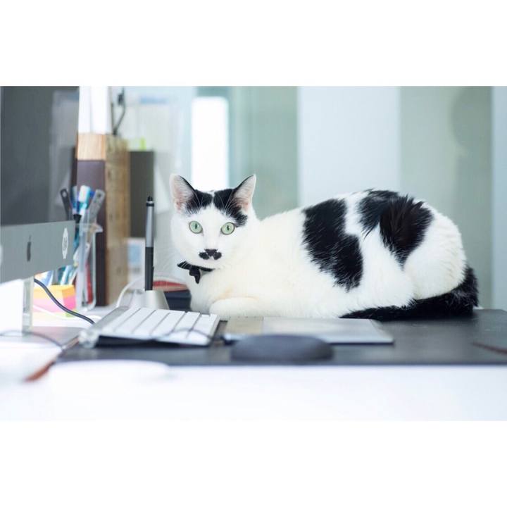 B0f314d8 b0f5 438d a9a3 a663b7974490