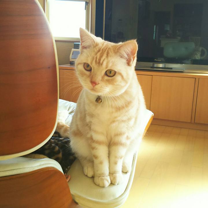 B0f3eeed 68aa 4abf a915 1dbc509b6873