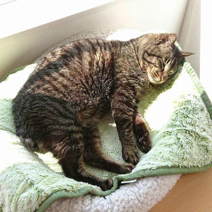 B0f40130 7eb6 416f 81af 41e59b0c2cf7