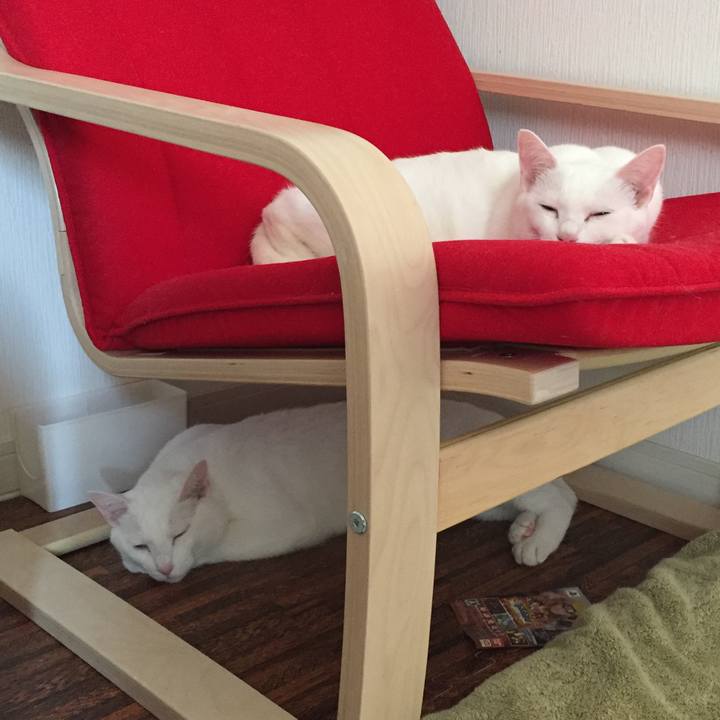 B0f42d0c d40a 4f4c 808a 1080e39f0209