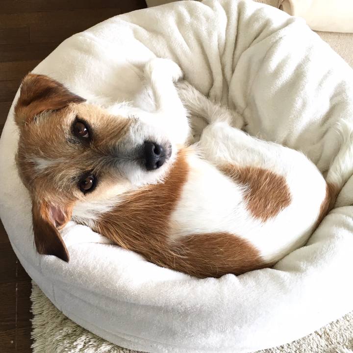 B0f436ec 8e1d 4908 bde2 ec50ccd31d7c