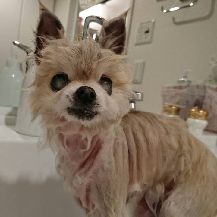 B0f43e60 ee56 48a7 9252 9f4cc15678c0