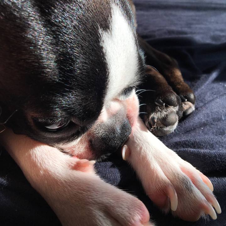 B0f48ae8 0145 49c3 8591 84cd25b211e4