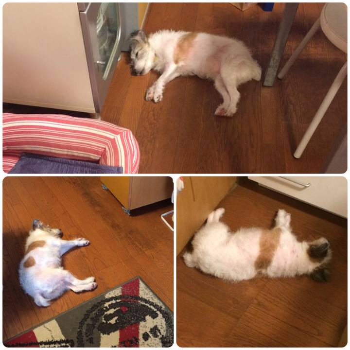 B0f4da70 2222 4c16 b912 9e174cd3531c