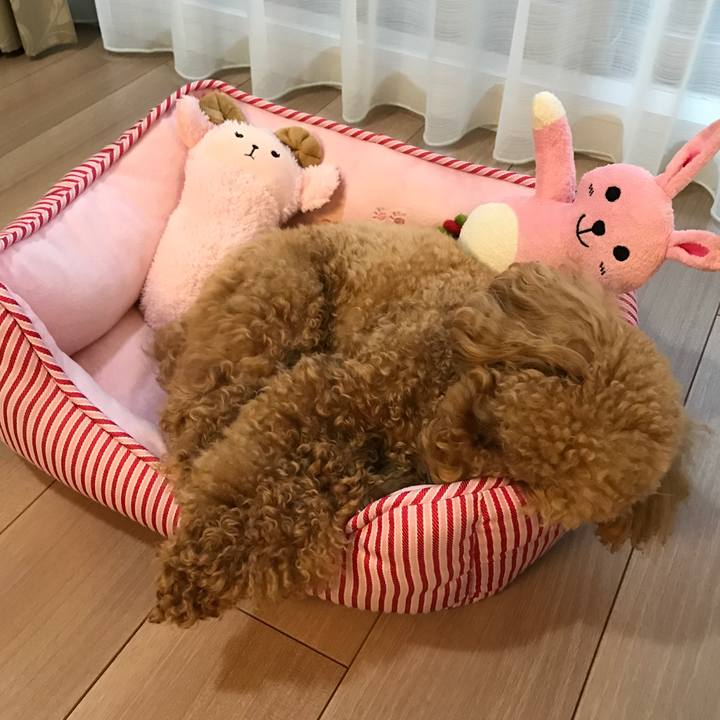 B0f4dee5 c814 4823 9d1d d15d45263967