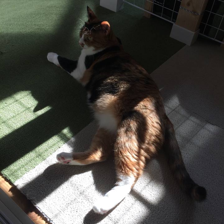 B0f633e7 1272 4157 9e8f 9242e1cd9a07